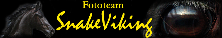 snakeviking